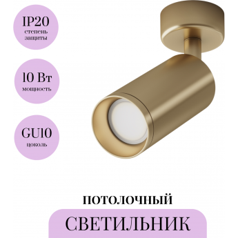 Потолочный светильник MAYTONI FOCUS C017CW-01MG