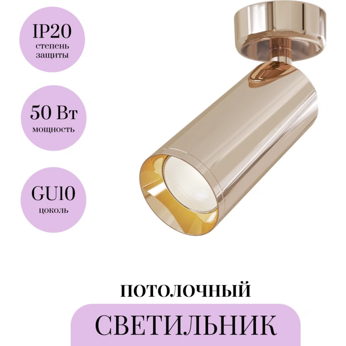 Потолочный светильник MAYTONI FOCUS C017CW-01RG