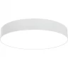 Потолочный светильник MAYTONI ZON C032CL-L48W3K