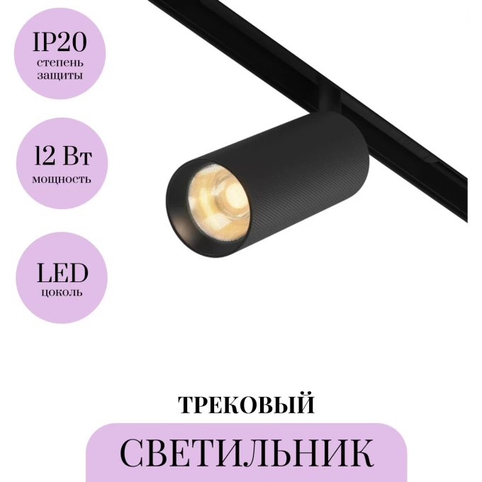 Трековый светильник MAYTONI ARTISAN TR097-2-12W2.7K-M-BB