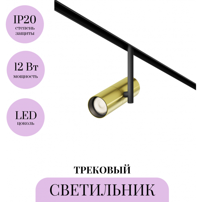 Трековый светильник MAYTONI ELTI TR005-2-12W3K-BBS