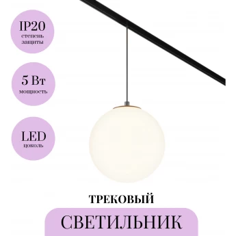 Трековый светильник MAYTONI LUNA TR039-2-5W3K
